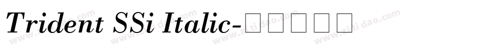 Trident SSi Italic字体转换
